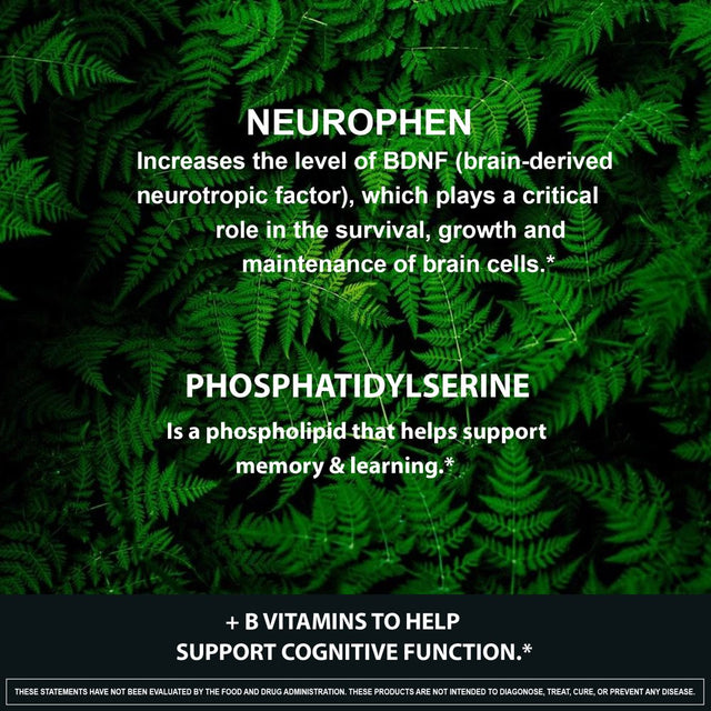 Neurophen Nootropic Brain Booster Supplement - Enhanced Brain Focus, Mental Clarity, Concentration & Memory Support with Bacopa Extract, Phosphatidylserine, Huperzine a - 60 Capsules