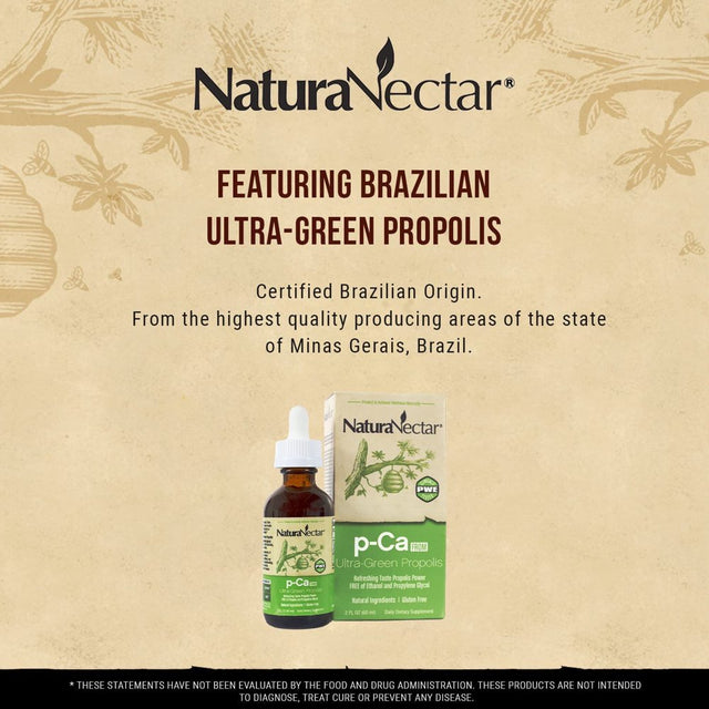 Naturanectar P-Ca from Liquid Green Bee Propolis, Drops - Nootropic Brain Supplement - Focus, Memory & Immune Support- Ultra Pure Flavonoids, Premium Brazilian Green Propolis, Caffeine Free, 60 Ml.