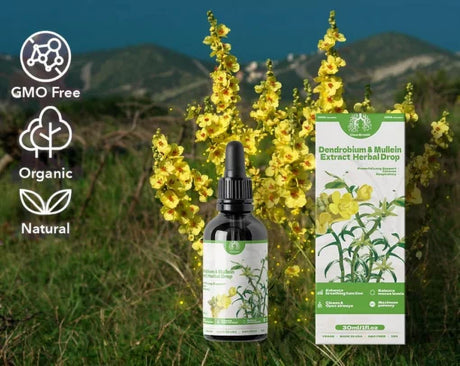 Herbal Lung Health Essence Dendrobium and Mullein Extract Herbal Drops