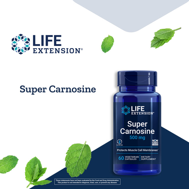 Life Extension Super Carnosine, 500Mg - Vitamin B1 & Antioxidant for Muscle Recovery Support - Gluten-Free, Non-Gmo - 60 Vegetarian Capsules