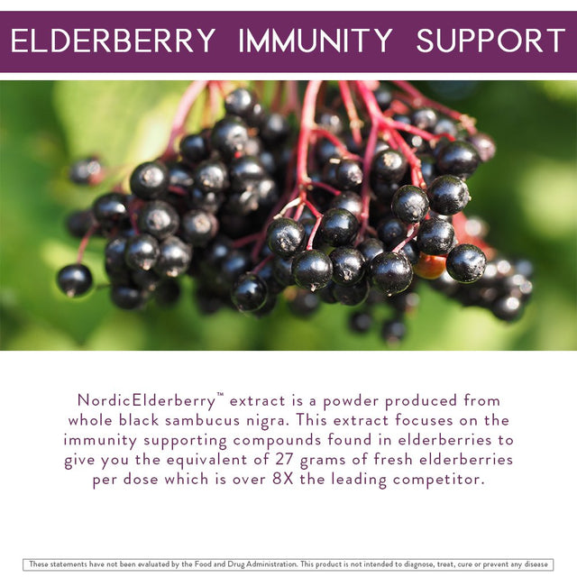 Body Kitchen Nordic-Elder Shield 1,000 Mg Elderberry Supplement, Immune Support, 30 Day Supply, 60 Count Capsules