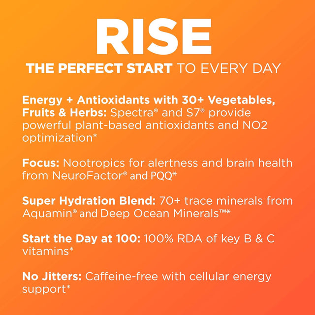 RISE Hydration Drink | Keto Friendly Nootropic Hydration Powder Packets with Vitamins & Antioxidants. Focus, Energy, 0 Caffeine | Paleo Diet Friendly | Citrus Coconut 10 Pack by MANTRA Labs