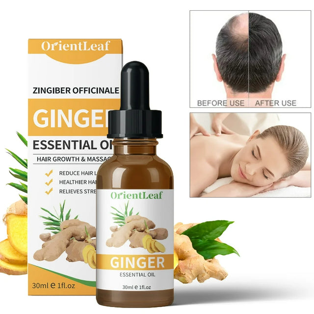 Orientleaf Ginger Essential Oil, Belly Drainage Ginger Oil, Lymphatic Drainage Ginger Oil, Plant Aroma Oil Massage, Care for Skin, Fat Burning, Weight Loss, Christmas Gift Kit, 1 Fl.Oz