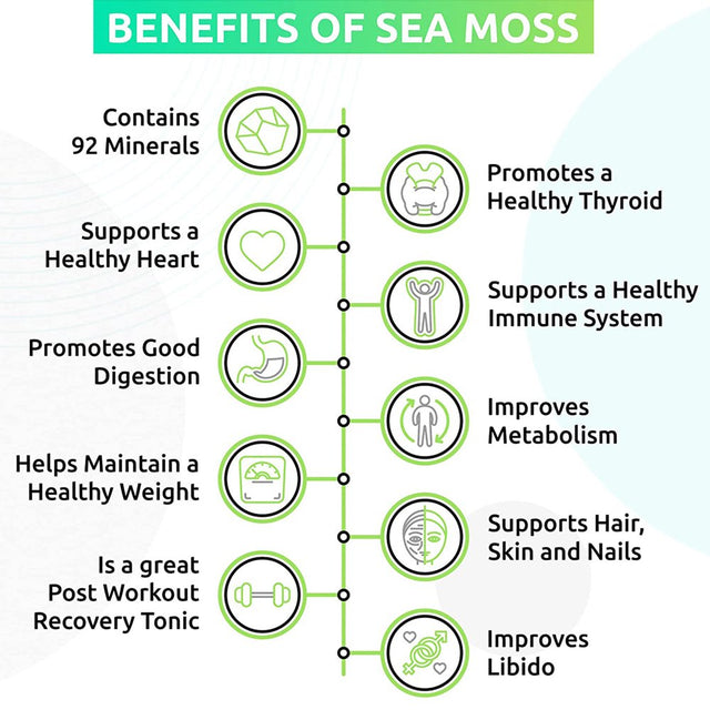 Trueseamoss Wildcrafted Irish Sea Moss Gel – Nutritious Raw Seamoss Rich in Minerals, Proteins & Vitamins – Antioxidant Health Supplement, Vegan-Friendly Made in USA (Elderberry, 5)