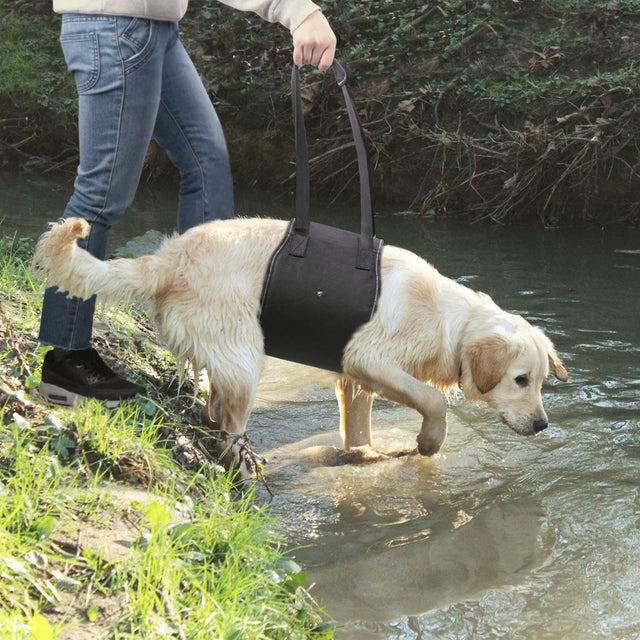 LNKOO Veterinarian Approved Dog Canine Sling Lift Adjustable Straps Support Harness Helps with Loss of Stability Caused by Joint Injuries and Arthritis ACL Rehabilitation Rehab