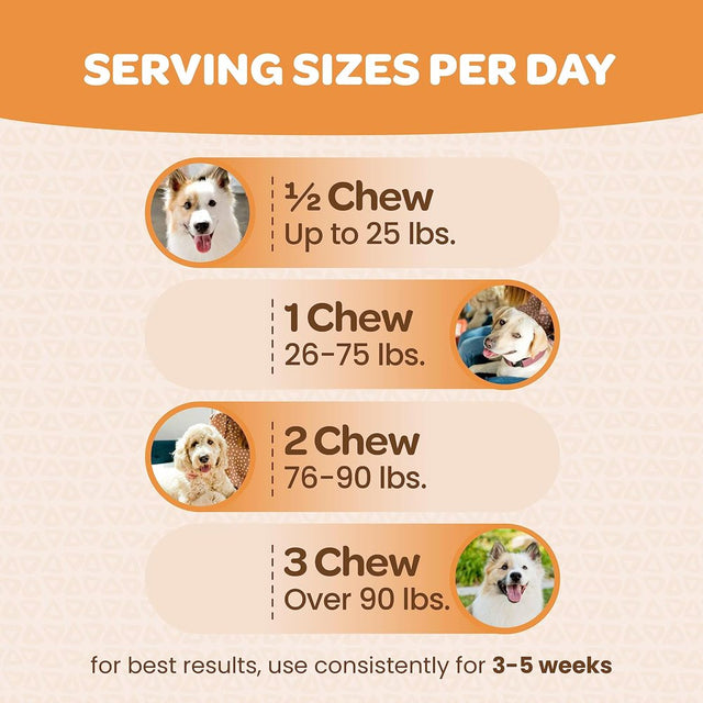 Ready Pet Go! Skin & Coat Chews Supplements for Dog Shedding, Skin Allergy, Itch Relief, Mange and Hot Spots Treatment - 90 Ct