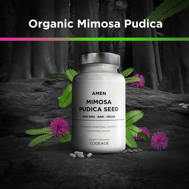 Amen Mimosa Pudica Seed, 2-Month Supply, Organic Mimosa Pudica, Vegan Plant Supplement, 120 Ct