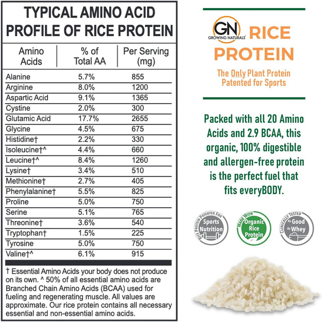 | Original Rice Powder 15G Plant Protein | 2.8G BCAA, Low-Carb, Low-Sugar, Non-Gmo, Vegan, Gluten-Free, Keto & Food Allergy Friendly | Original (16.2 Ounce (Pack of 1))