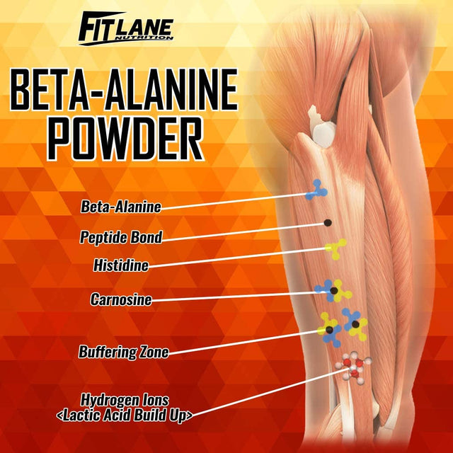 Beta Alanine Powder. Bulk Pre Workout Supplement 1000 Grams (2.2 Lbs) 333 Servings Unflavored. Value Sized Bag.