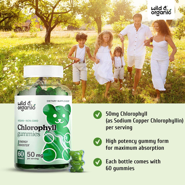 Wild & Organic Chlorophyll Gummies - Natural Energy Booster Chlorophyll Supplement, 60 Chews