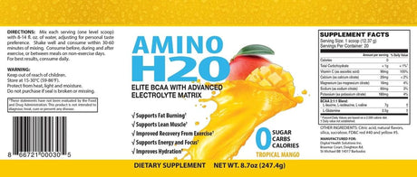 Amino H20 (BCAA Supplement | Natural Energy | Zero Caffeine | Zero Sugar | Zero Calories | Natural Recovery | Zero Glutan | Zero Carbs | Zero Animal Products)