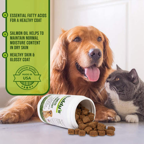 Buddy'S Essential Dog and Cat Soft Chew Vitamin Supplement for Skin and Fur Coat Health Support- 180 Soft Chews- Rich in Salmon Oil Omega 3 and 6 Fatty Acids, EPA, DHA- Natural Taste, Made in USA