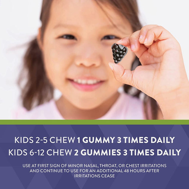 Nature’S Way | Sambucus Relief Kids Gummies, Reactive Support, South African Geranium, with Elderberry, Vitamin C & Zinc | 60 Gummies