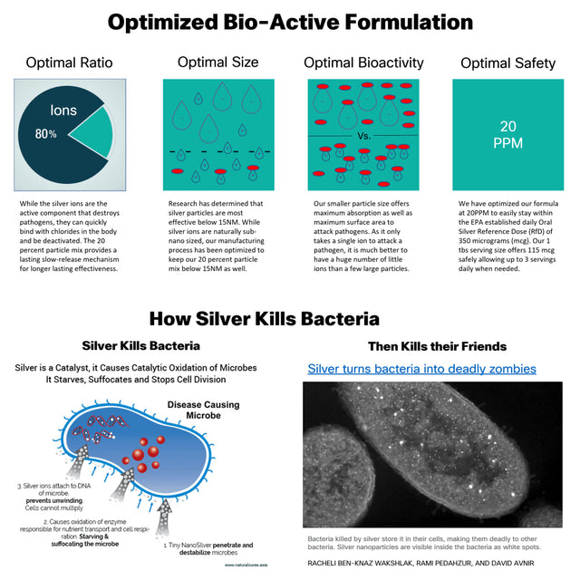 Biosilver Optimized 20 PPM Bio-Active Ionic Silver Liquid Solution in 16 Oz. Dark Glass Bottle by Thrival Labs | Nano Ions and Particles for Superior Immune Support (96 Servings) - Economy S