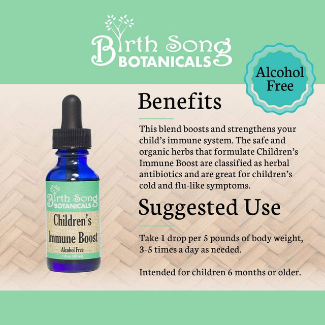 Birth Song Botanicals Organic Children'S Immune System Booster, 1Oz Holistic Health Supplement