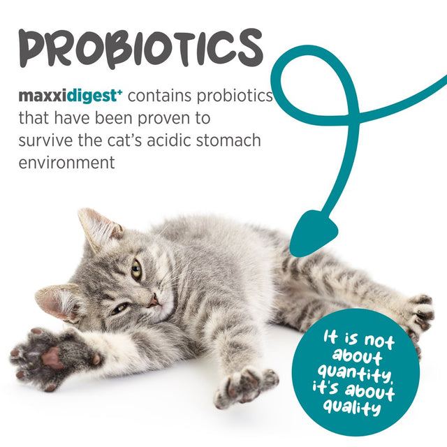 Maxxidigest+ Digestive and Immune Supplement for Cats by Maxxipaws - Powder 7 Oz