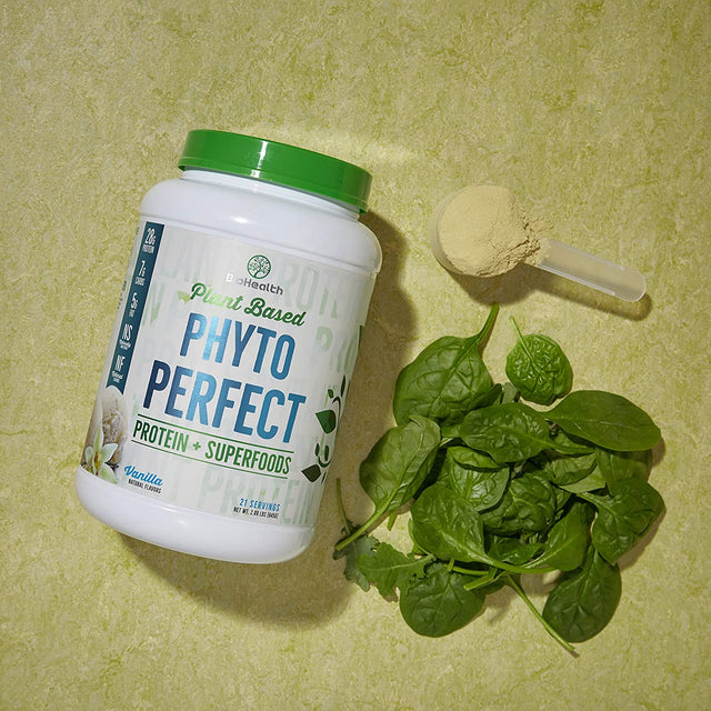 Phyto Perfect Chocolate (2Lb) | Vegan Protein plus Superfoods | Protein plus Organic Veggies and Organic Fruits