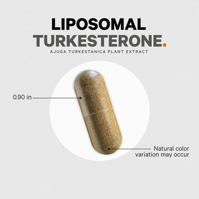 Codeage Liposomal Turkesterone Supplement, Ajuga Turkestanica & Hydroxypropyl-Β-Cyclodextrin, 120 Ct