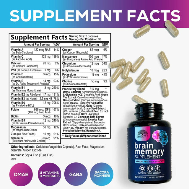 Nootropic Brain Supplements Focus Memory Supplement Pills - Mental Support & Concentration - Brain Health & Energy with B Vitamins, Phosphatidylserine, Nature'S Vitamins for Men & Women - 60 Capsules