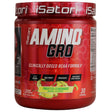 Isatori - Amino-Gro Muscle Building Amino Acid Formula Frosted Lemonade - 9.52 Oz.