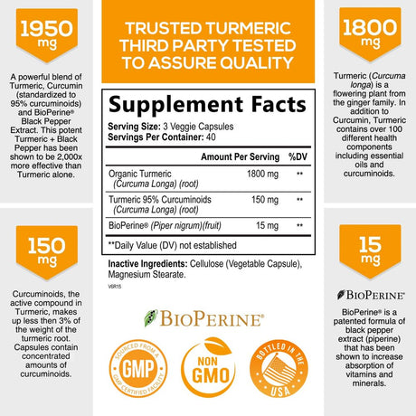 Turmeric Curcumin with Bioperine 95% Standardized Curcuminoids 1950Mg - Black Pepper for Max Absorption, Joint Support, Nature'S Tumeric Supplement, Vegan Herbal Extract, Non-Gmo, 120 Capsules