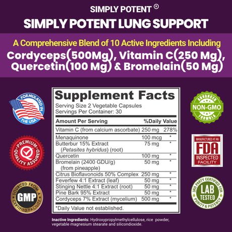 Lung Support Supplement for Lung Cleanse & Detox, Comprehensive Formula - Quercetin with Bromelain Nettle Vitamin C & 500 Mg Cordyceps for Lung Health, Respiratory & Bronchial Support, 60 Capsules