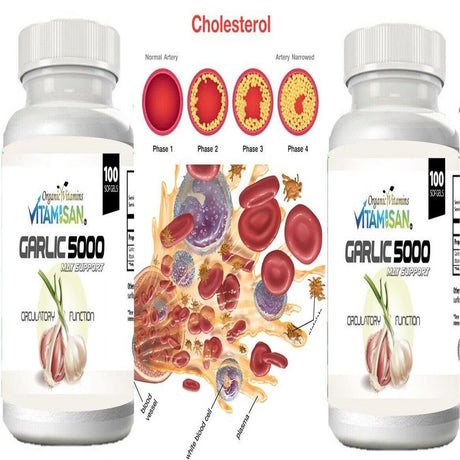 2 Garlic Fresh Extract 5000 Mg Cholesterol Health Supp 200 Antioxidant Pills Gel