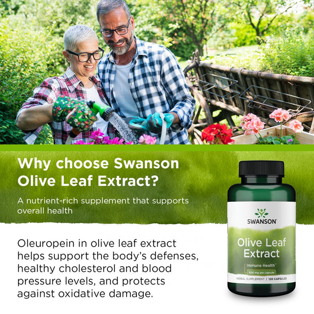 Swanson Herbal Supplements Olive Leaf Extract 500 Mg Capsule 120Ct