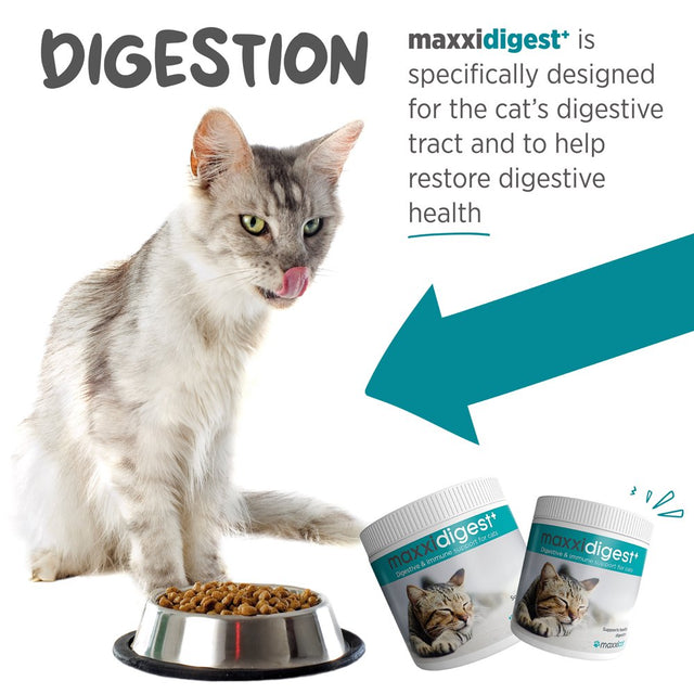 Maxxidigest+ Digestive and Immune Supplement for Cats by Maxxipaws - Powder 7 Oz