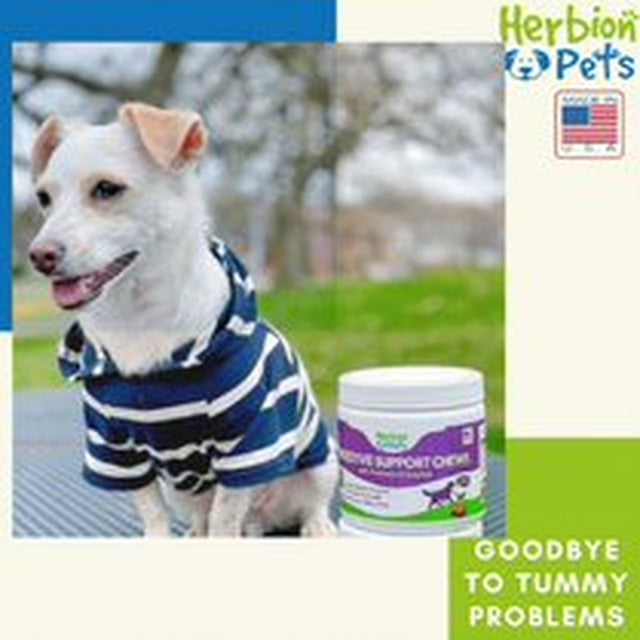 Herbion Pets Digestive Support Chews with Probiotics and Enzymes, 120 Soft Chews - with Daily Digestive Enzymes - for Improved Gut Health - Minimum 2 Billion Cfus - Made in USA - for Dogs 12 Weeks+