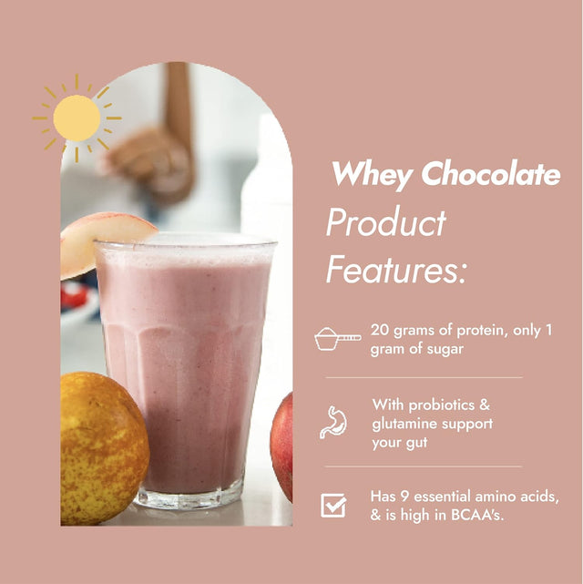 Whey Protein Chocolate by Dr. Nancy MD (14 Servings, 31.5G), 21G Whey Protein, Bcaa’S, with Added L-Glutamine & Probiotics