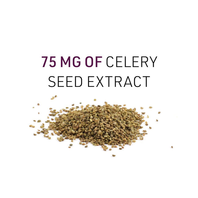 Celery Seed Extract by Natural Factors, Herbal Supplement for a Healthy Circulatory System, 120 Capsules