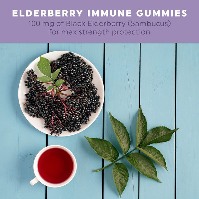 Elderberry Gummies for Adults | Zinc Gummies for Immune Support with Black Elderberry | Plant Based Pectin and Vegan Friendly | 100Mg | 60 Count Gummies