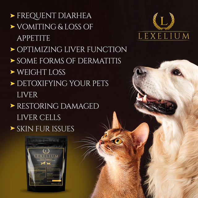 Lexelium Liver Support Supplement for Dogs and Cats - Great for Detoxing and Helps Kidney, Liver & Skin Function - Cat Liver Support - Milk Thistle + Lysine + Choline Bitartrate + Methionine - 200G