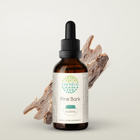 Pine Bark Alcohol Herbal Extract Tincture, Super-Concentrated Wildcrafted Pine Bark (Pinus Strobus) Dried Bark 2 Oz