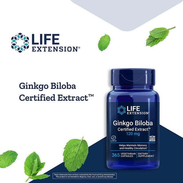 Life Extension Ginkgo Biloba Certified Extract™, 120 Mg - Helps Promote Healthy Memory & Cognitive Function - Gluten-Free, Non-Gmo - 365 Vegetarian Capsules