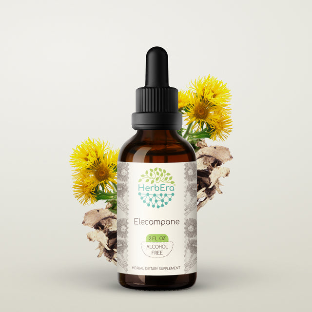 Elecampane Alcohol-Free Herbal Extract Tincture, Super-Concentrated Organic Elecampane (Inula Helenium) Dried Root 2 Oz