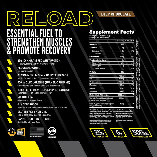 Sport Reload - 100% Organic Grass Fed Whey Protein Powder for Men & Women - Advanced Formula with MCT Oil, Curcugreen, & Bioperine - Extended Absorption with Enhanced Bioavailability - Chocolate