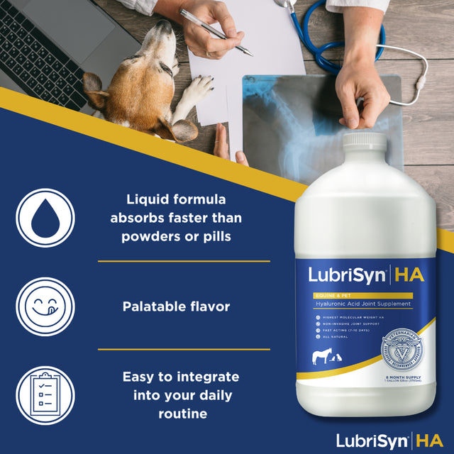 Lubrisynha Hyaluronic Acid Pet & Equine Joint Formula 128Oz - All-Natural, High-Molecular Weight Liquid Hyaluronan - Joint Support for Horses, Dogs, Cats - Promotes Healthy Joint Function, Made in USA