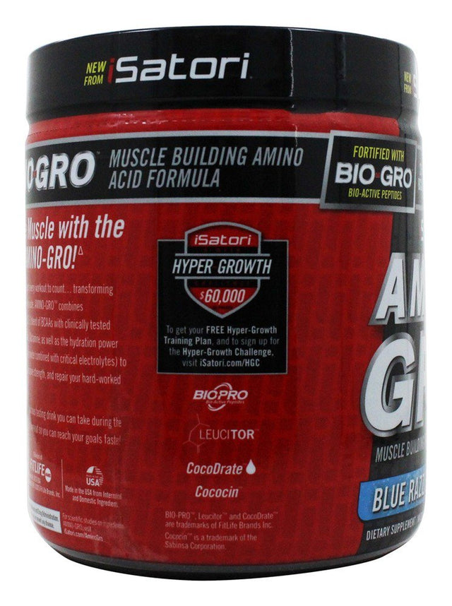 Isatori - Amino-Gro Muscle Building Amino Acid Formula Blue Razz Snow Cone - 9.52 Oz.