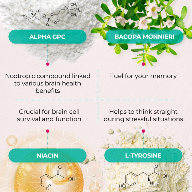 Ageless Brain Memory Supplements for Adults, Nootropic Brain Supplement, Brain Health Supplements for Adults with Vitamin B6, Alpha GPC, Bacopa Monnieri by Purehealth Research