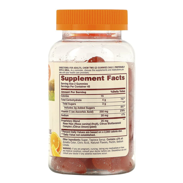 Sundown Naturals, Vitamin C Gummies with Rose Hips Bioflavonoids, Orange Flavored, 90 Gummies