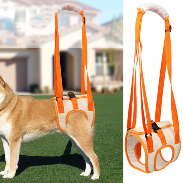 Dog Lift Harness, Pet Rear Support Aid Veterinarian Approved Sling for Old K9 Help with Poor Stability, Back Leg Hip Disabled Joint Injury Elderly and Arthritis ACL Rehabilitation Rehab