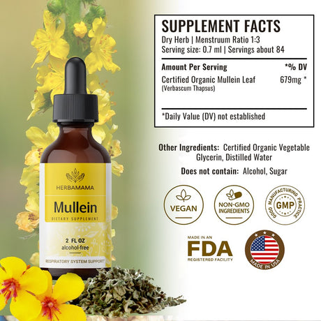 HERBAMAMA Mullein Leaf Liquid Extract 2 Fl. Oz - Respiratory Health and Immune Support