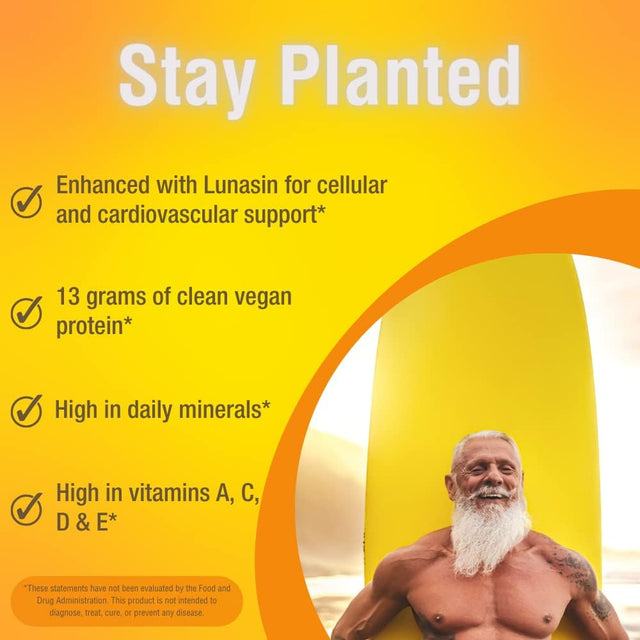 Stay Planted Plant-Basednon-Gmo Soy Healthy Protein Powder Drink Mix - Chocolate Flavored - 2Lb Tub - 13G Protein - Makes Great Tasting Low Carb Vegan Shakes & Smoothies