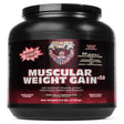 HEALTHY N FIT - Muscular Weight Gain, 2.5Lb -Chocolate - Time Release Protein, Creatine, Glutamine