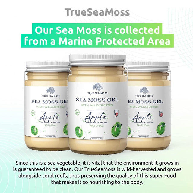 Trueseamoss Wildcrafted Irish Sea Moss Gel – Nutritious Raw Seamoss Rich in Minerals, Proteins & Vitamins – Antioxidant Health Supplement, Vegan-Friendly Made in USA (Banana, 5)