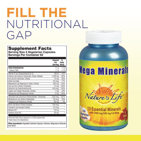 Nature'S Life Mega Minerals Complex | Complete Multi Mineral + Vitamin D Supplement | 250 Vegetarian Capsules