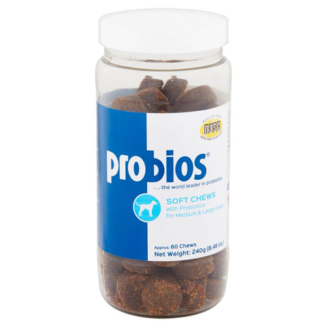 Probios Soft Chews with Probiotics for Medium & Large Dogs, 60 Count, 8.46 Oz