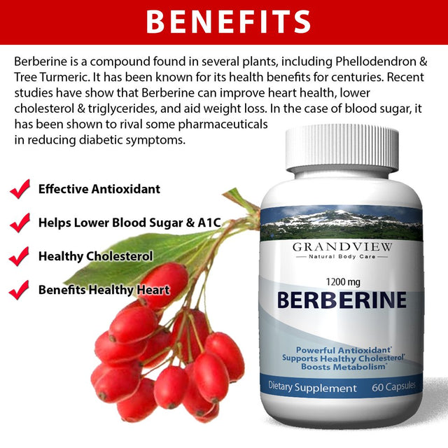 Berberine - All-Natural Herbal Supplement. Supports Weight Loss. Promotes Heart Health. May Help Healthy Blood Sugar. Powerful Antioxidant.